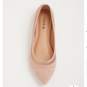 MESH POINTED TOE FLAT (WW)